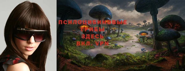 ГАЛЛЮЦИНОГЕННЫЕ ГРИБЫ Новодвинск